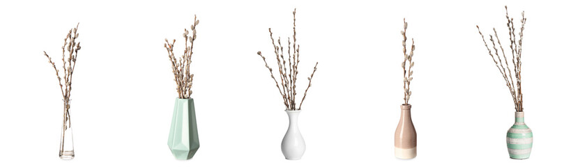 Vases with willow branches on white background