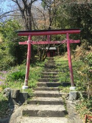 Hidden Castles and Structures in Lush Japanese Forests of Gunma