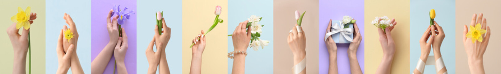 Collection of female hands with different spring flowers on color background