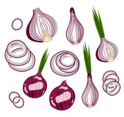 Red onion set with half, slice and onion ringsang green strokes.