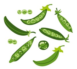 Green pea  Isolate on a white background
