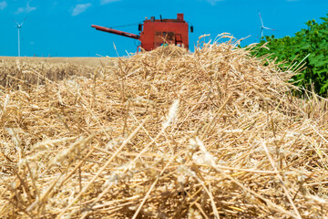 Harvester harvests ripe wheat on yellow rural field on a summer sunny day. Landscape of an endless...