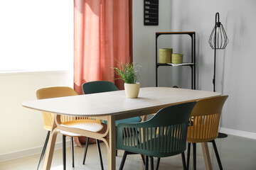 Dining table, chairs and houseplant in light room