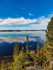 The White Sea coast with trees in the foreground and stones in the water on a sunny day. Karelia.