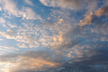 Obraz premium many wind-scattered cirrus clouds beautifully illuminated by the setting sun