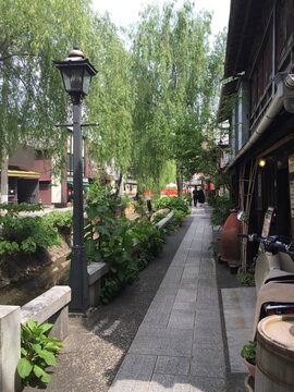 Street my RIver with Willow Tree Shimoda Shizuoka Japan