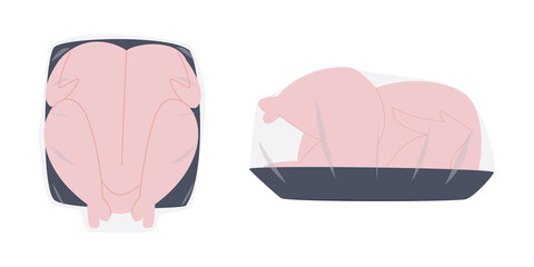 Broiler chicken carcass packaging. Thick fresh bird carcass. Farm poultry meat. Flat vector illustration