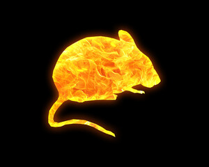 Rat Mouse fires Flames Icon Logo Symbol illustration