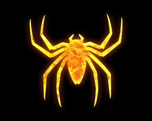 Spider Arachnid fires Flames Icon Logo Symbol illustration