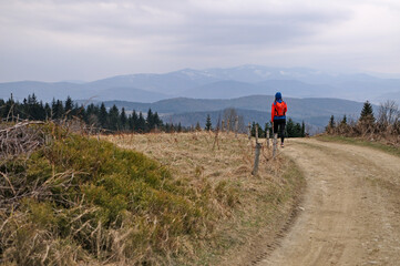 Obraz premium Nordic walking w górach.
