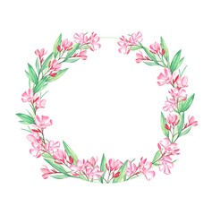 Fototapeta na wymiar Watercolor wreath of oleander flowers and leaves on a white background.
