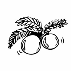 Christmas balls with a fir branch. doodle Vector christmas toys on a tree branch. Christmas pine tree branch hand drawn.