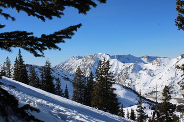 snow covered mountains