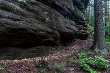 Foothills of the Elbe Sandstone Mountains. Saxony Switzerland. Germany