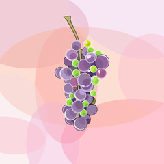 bunch of young grapes vector illustration on a pink geometric background in flat technique 