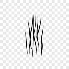 animal scratche concept