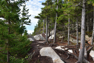 Franceville sector at Megantic mount SEPAQ hiking trail with exposed bedrock and spruce. Hiking trail damage due to high traffic area