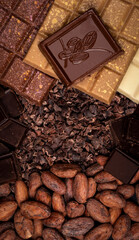 chocolate beans and bars on a dark background