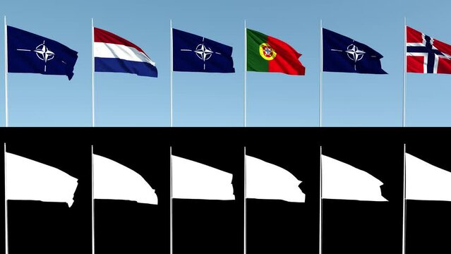 The flags of the member countries of the military Alliance against the sky. High quality 4k footage