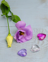 Purple Eustoma and glass hearts on a blue background, greeting card for Valentine's Day, wedding, etc., selective focus, vertical orientation, space for an inscription.