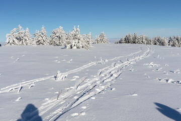 Obraz premium Aerial Winter view of Vitosha Mountain, Bulgaria