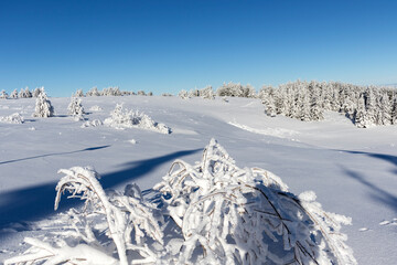 Aerial Winter view of Vitosha Mountain, Bulgaria