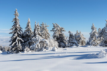 Aerial Winter view of Vitosha Mountain, Bulgaria