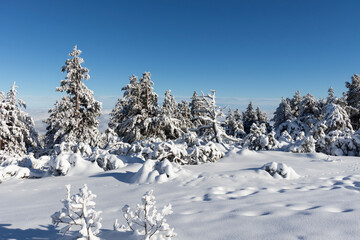 Aerial Winter view of Vitosha Mountain, Bulgaria