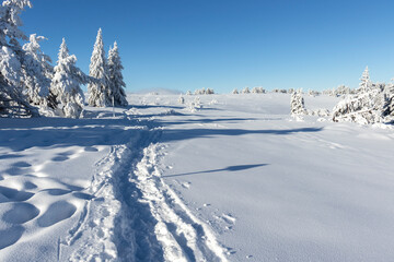 Aerial Winter view of Vitosha Mountain, Bulgaria