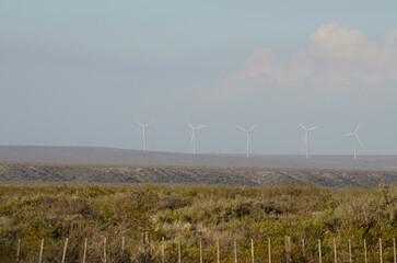 wind power mills in the field