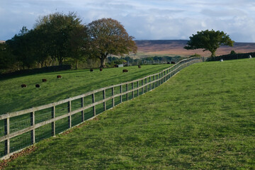Obraz premium Autumn pastures of Yorkshire Great Britain