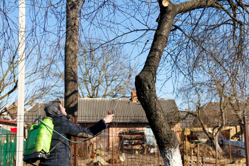 Fumigating pesti, pest control. Defocus farmer man spraying tree with manual pesticide sprayer against insects in spring garden. Agriculture and gardening. Chemical spraying. Disease. Out of focus