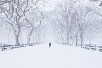 Central Park Winter Snow
