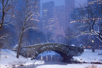 Central Park Winter Snow