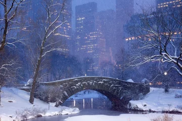 Fotobehang Gapstow Brug Central Park Winter Snow