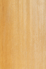 Beech wood texture or pattern. Wooden pattern design. 