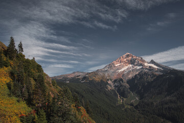 Fototapeta premium A lenticular cloud hugs the top of snow covered Mt Hoot on a beautiful sunset in autumn. With a mostly blue sky there's a mountain range of craggy peaks below Hood and a line of evergreen trees
