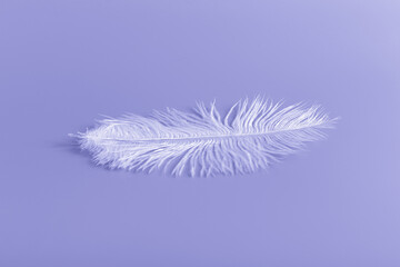 Bird feathers on Very Peri background