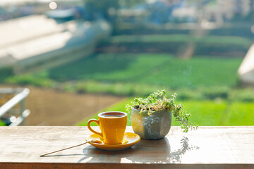 A cup of hot coffee is next to a potted plant on a wooden table, in the afternoon sunlight