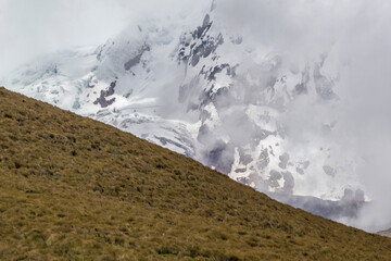 A detail of Antisana´  s glacier and a part of their paramo