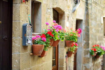 Fototapeta na wymiar Flowers on narrow old streets of the famous Pitigliano town, located atop a volcanic tufa ridge. Beautiful italian towns and villages. Etruscan heritage, Grosseto, Italy.
