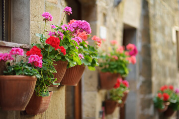 Obraz na płótnie Canvas Flowers on narrow old streets of the famous Pitigliano town, located atop a volcanic tufa ridge. Beautiful italian towns and villages. Etruscan heritage, Grosseto, Italy.