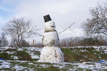 melting snowman in the snow