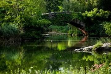 Photo sur Plexiglas Pont de Gapstow Central Park Pond
