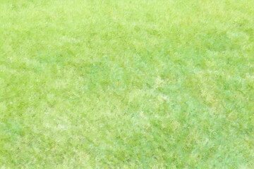 Grass background. Lawn texture illustration
