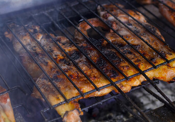 grilled meat on the grill