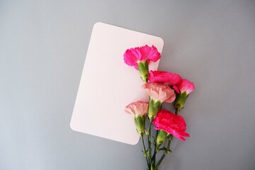 Spring greeting concept. A blank card and pink Carnation decoration on pale green background. Mother's day, Women' s day, Birthday and Father's day concept flower composition.