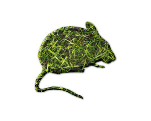 Rat Mouse Grass green Logo icon illustration