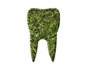 Dentist, Dental Hygienist Tooth Grass green Logo icon illustration