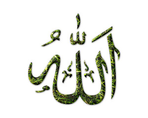 Allah, God Arabic Grass green Logo icon illustration